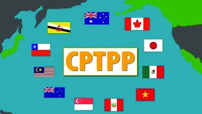Việt Nam xuất siêu hơn 86 triệu USD sang thị trường các nước CPTPP