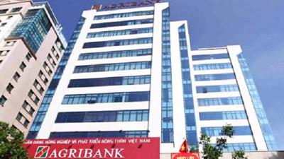 Những lần Agribank giảm giá sốc rao bán các khoản nợ xấu