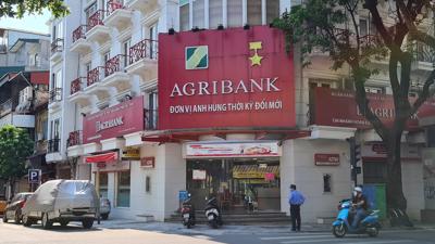 Sau 14 năm Agribank vẫn 'lỡ nhịp' cổ phần hóa: Vì sao?