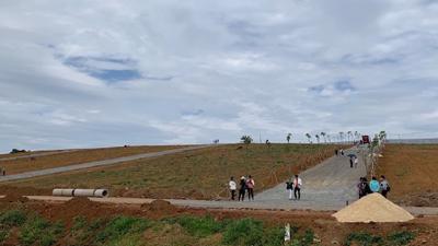 Lâm Đồng: Yêu cầu kiểm tra việc quản lý, sử dụng đất tại dự án Ruby Madagui 