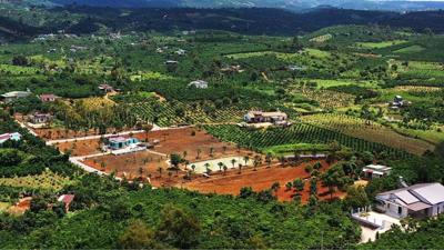 Thành viên Sam Holdings đề xuất đầu tư dự án trên khu đất hơn 1.000 ha tại Lâm Đồng