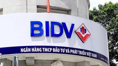 Lợi nhuận BIDV dự kiến đạt 19,4 nghìn tỷ đồng năm 2022, đâu là yếu tố hỗ trợ?