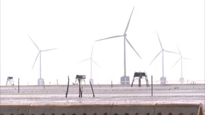 Tiền Giang: Khánh thành và khởi công 2 nhà máy điện gió trên biển