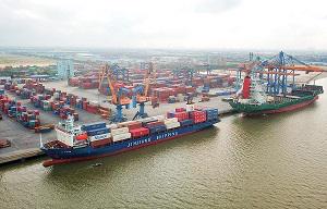 Chịu gánh nặng cước vận tải biển, lợi nhuận doanh nghiệp sụt giảm nghiêm trọng