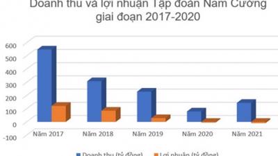 Trùm BT đất Bắc Nam Cường: Loạt dự án “đắp chiếu” bị “trảm”, 1.867 tỷ tài sản bay hơi