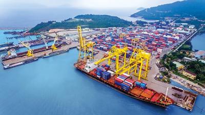 Doanh nghiệp vận tải biển lãi đậm quý đầu năm