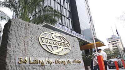 Vinaconex rót 133 tỷ đồng thành lập công ty tại Quảng Ninh