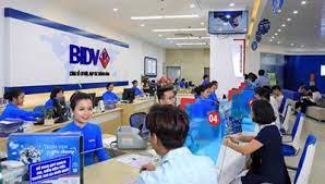 BIDV: Lựa chọn đơn vị thẩm định giá tài sản cho khoản nợ khoảng 750 tỷ đồng; rao bán loạt BĐS để thu hồi nợ xấu