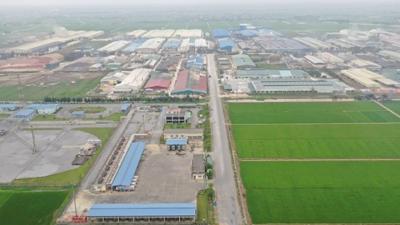 Thái Bình tiếp tục duyệt quy hoạch 2 khu công nghiệp tại Tiền Hải và Thái Thụy