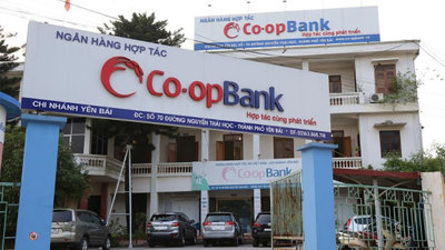 Nhân viên ngân hàng Hợp tác xã Việt Nam Co-opBank lừa đảo hàng trăm người 