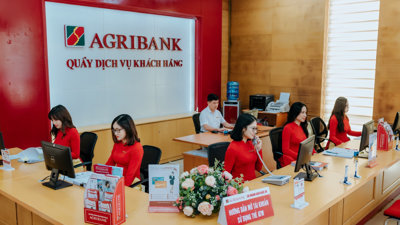 'Công ty con' của ngân hàng Agribank công bố kết quả kinh doanh ảm đạm