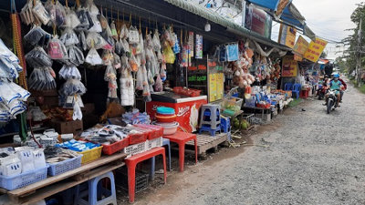 Vĩnh Long: Doanh nghiệp “hô biến” chợ cá thành ki-ốt cho thuê