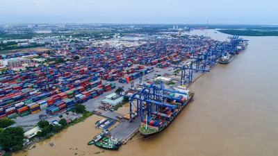 Kim ngạch xuất khẩu hàng hóa cả năm 2022 dự báo đạt 368 tỷ USD
