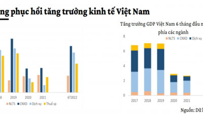Bức tranh phục hồi kinh tế và tăng trưởng của Việt Nam