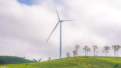 Đà Lạt có thêm 2 dự án điện gió tổng vốn đầu tư hơn 4.300 tỷ đồng 