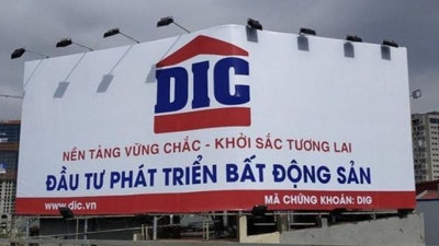 DIC Corp trình phương án điều chỉnh dự án Long Tân, đại hạ giá phát hành cổ phiếu xuống 50%