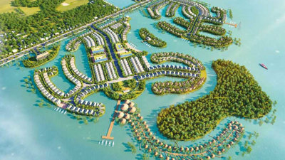 Bình Định: Một doanh nghiệp nợ hơn 411 tỷ đồng tiền thuê đất