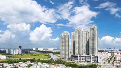 GS Đặng Hùng Võ: Sốt đất sẽ gây hại cho thị trường bất động sản