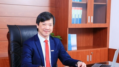Cổ phiếu TTF giảm 84%, Chủ tịch HĐQT Mai Hữu Tín tham gia “bắt đáy”