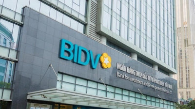 BIDV đại hạ giá khoản nợ thế chấp của Thép Việt Nhật