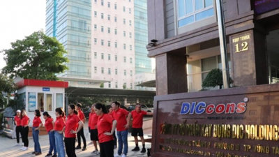 DIC Holdings báo lãi 253 triệu đồng, giảm 99,4%