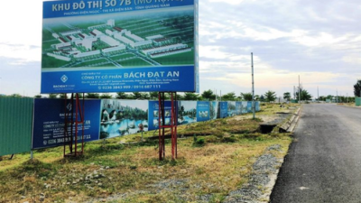 Quảng Nam: Kiến nghị không giao đất cho Công ty Bách Đạt An