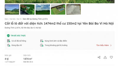 Qua thời “bỏ phố về làng”, nhiều lô đất ven đô được rao bán cắt lỗ rầm rộ