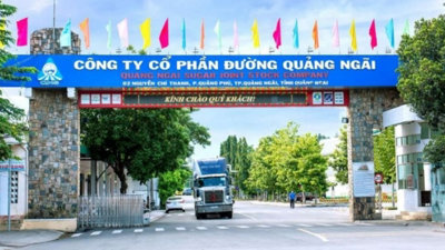 Đường Quảng Ngãi của ông Võ Thành Đàng bị xử phạt