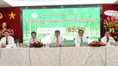 Giá cao su giảm đẩy lợi nhuận của Vietnam Rubber Group lao dốc 48,1%
