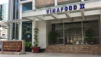 Lỗ lũy kế 2.805 tỷ đồng, cổ phiếu VSF của Vinafood II tăng 562,8%