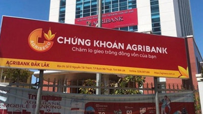 Agriseco bị phạt và truy thu thuế hơn 480 triệu đồng