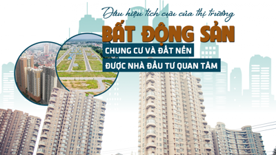 Dấu hiệu tích cực của thị trường bất động sản: Chung cư và đất nền được nhà đầu tư quan tâm