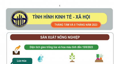 {Infographic} Tình hình kinh tế – xã hội tháng 8 và 8 tháng năm 2023