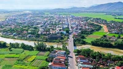 Bình Định: Đấu giá khu đất 88.000m2 làm khu dân cư