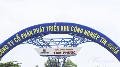 KCN Tín Nghĩa chưa thu được lãi từ hợp tác ngàn tỷ với Cảng Phước An