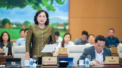 Thống đốc Nguyễn Thị Hồng: "Chưa có quy định xử lý triệt để sở hữu chéo giữa các ngân hàng"