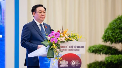 Chủ tịch Quốc hội Vương Đình Huệ: Năng lực nội sinh, tính tự chủ của DN, nền kinh tế còn hạn chế