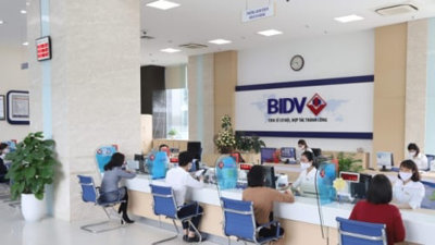 BIDV sẽ trả cổ tức năm 2021, vốn điều lệ tăng thêm 6.419 tỷ đồng
