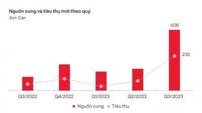 Phân khúc căn hộ dẫn đầu thị trường bất động sản Đà Nẵng