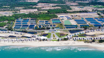 Chủ đầu tư dự án Charm Resort Hồ Tràm dính vào án phạt hàng trăm triệu đồng