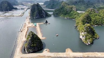 Phó Thủ tướng yêu cầu kiểm tra dự án quây núi đá vịnh Hạ Long làm hòn non bộ