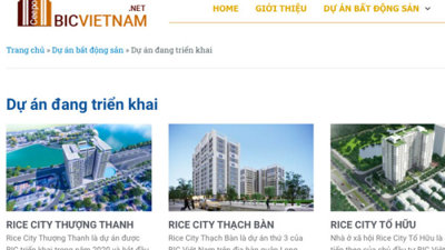 Soi tiềm lực 'ông trùm' nhà ở xã hội BIC Việt Nam