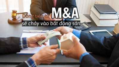 Dòng tiền mới từ M&A sẽ chảy vào thị trường bất động sản trong 2 năm tới?