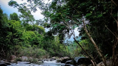 Cập nhật thông tin dự án khu du lịch sinh thái tại Vườn Quốc gia Tam Đảo