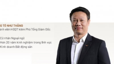 Ông Tô Như Thắng, Phó Chủ tịch VPI chốt lời 3 triệu cổ phiếu VPI