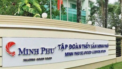 Ba ái nữ nhà ‘vua tôm’ Minh Phú chi tiền tăng sở hữu công ty của bố mẹ