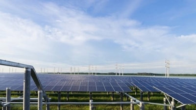 Điểm tên loạt doanh nghiệp xây dự án điện mặt trời khi chưa được thuê đất tại Long An