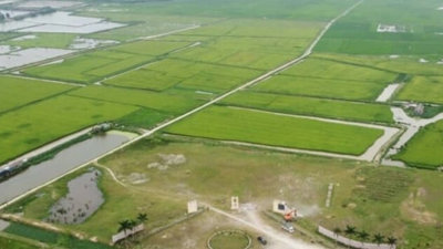 Khu công nghiệp 2.300 tỷ của FLC xây mãi không xong, tỉnh Thanh Hóa quyết định chuyển sang trồng cây nông nghiệp
