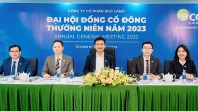 Cổ phiếu BCG Land rớt 47% ông Nguyễn Hồ Nam đăng ký bán sạch cổ phiếu