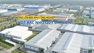 Ông lớn bất động sản khu công nghiệp hốt bạc nhờ quỹ đất lớn